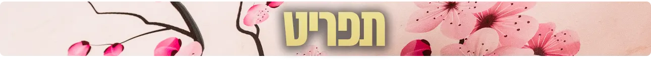 פינת סין, תפריט