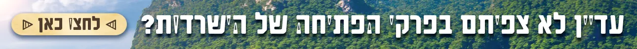 באנר השלמת צפייה הישרדות, דסקטופ