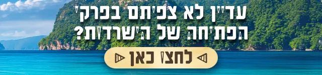 באנר השלמת צפייה הישרדות, מובייל