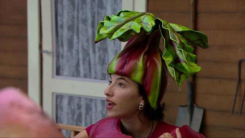 entertainment-the-big-brother-season-05-clips-2626-part-2306121627