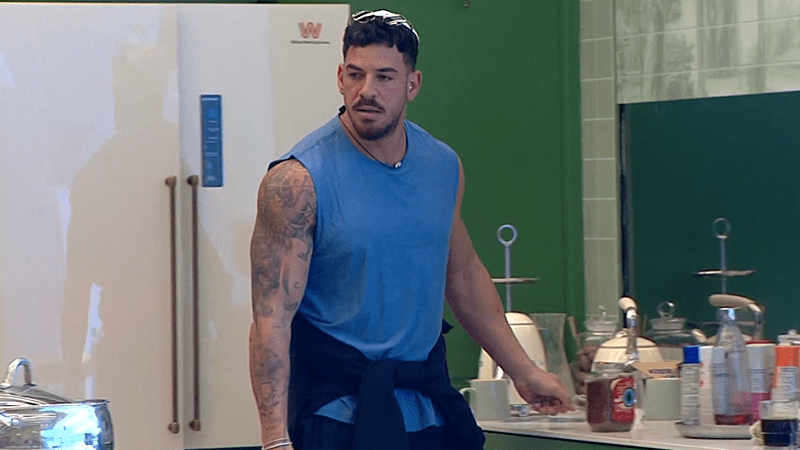 entertainment-the-big-brother-season-08-timeline-part-2603130945