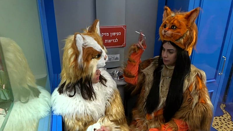 entertainment-the-big-brother-season-08-timeline-part-2603151728