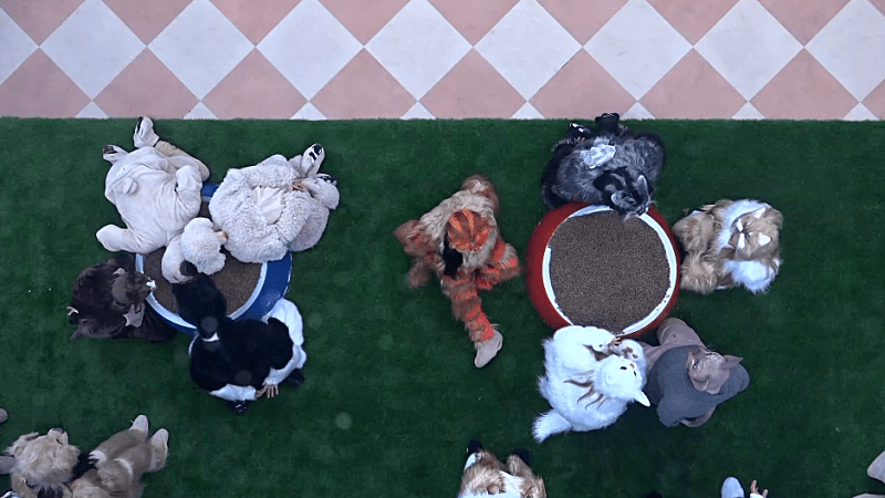 entertainment-the-big-brother-season-08-timeline-part-2603151802