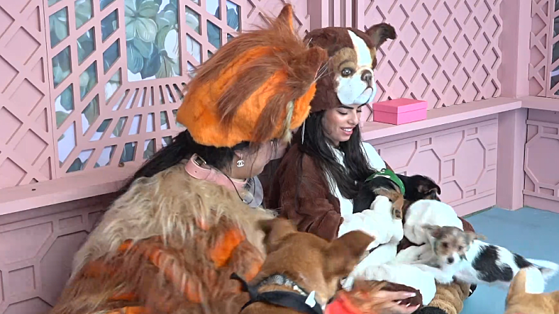 entertainment-the-big-brother-season-08-timeline-part-2603161256