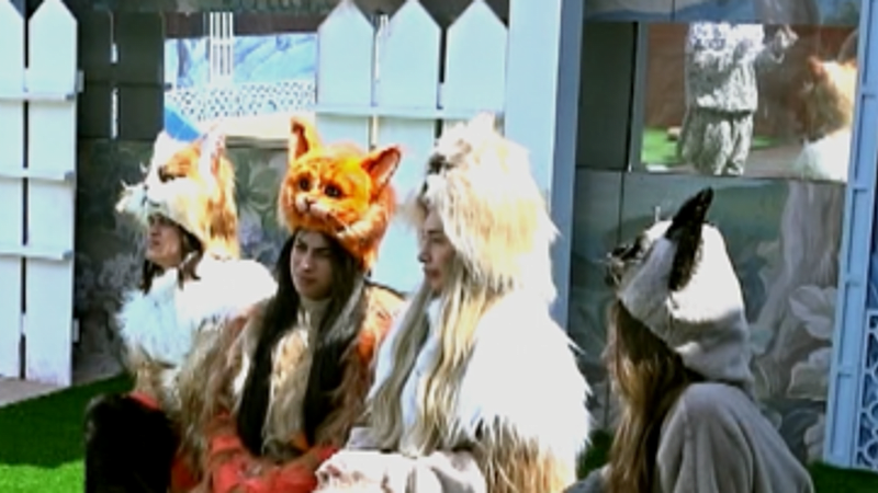 entertainment-the-big-brother-season-08-timeline-part-2606171146