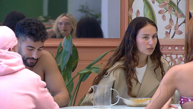 entertainment-the-big-brother-season-08-timeline-part-2603251631