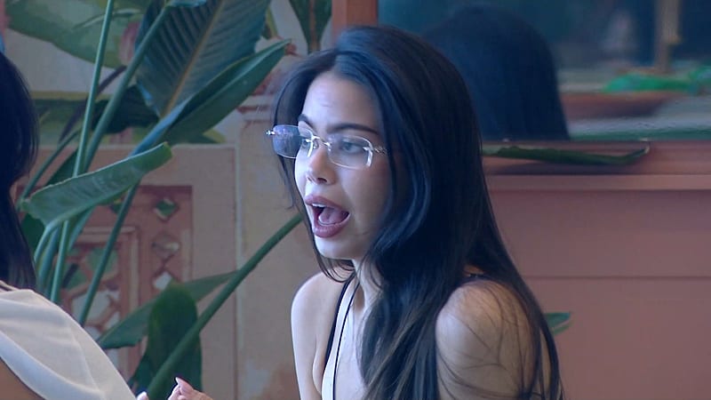 entertainment-the-big-brother-season-08-timeline-part-2604031515