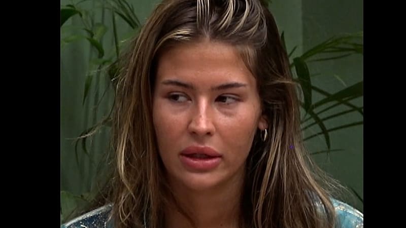 entertainment-the-big-brother-season-08-timeline-part-2604091534