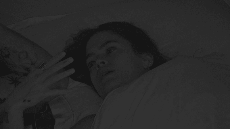 entertainment-the-big-brother-season-08-timeline-part-2604100922