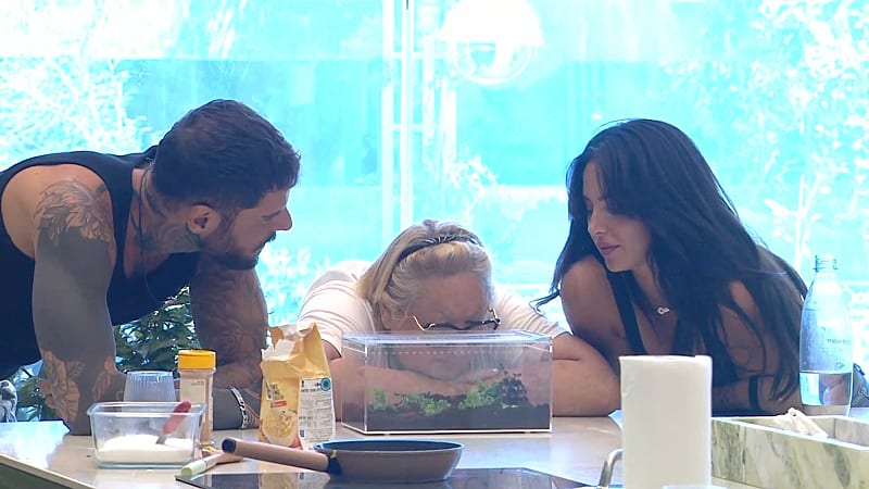 entertainment-the-big-brother-season-08-timeline-part-2604121408