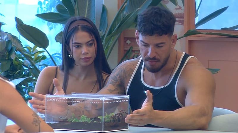 entertainment-the-big-brother-season-08-timeline-part-2604121220