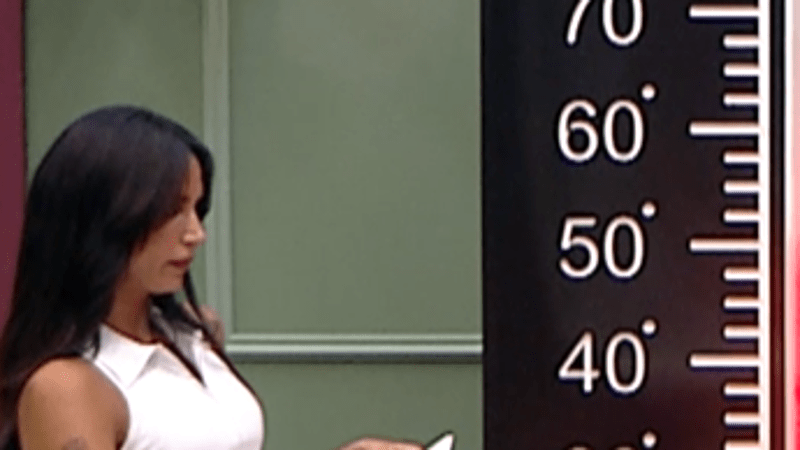 entertainment-the-big-brother-season-08-timeline-part-2604151253