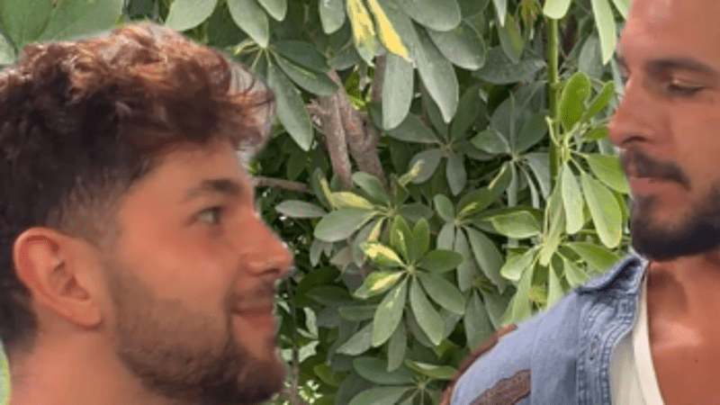 entertainment-the-big-brother-season-08-timeline-part-2604161210