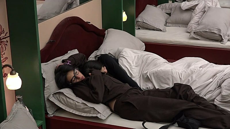 entertainment-the-big-brother-season-08-timeline-part-2604221043