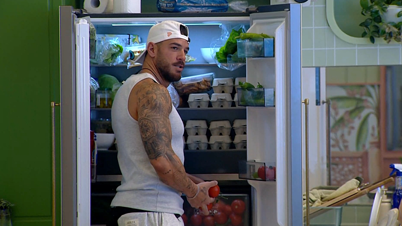 entertainment-the-big-brother-season-08-timeline-part-2604241007