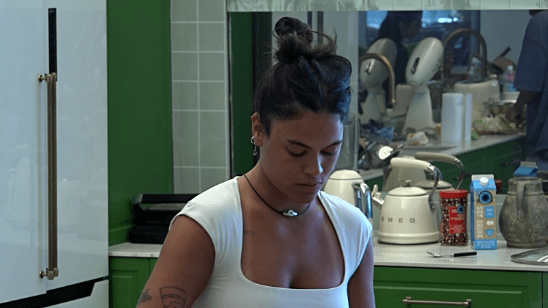 entertainment-the-big-brother-season-08-timeline-part-2604241449