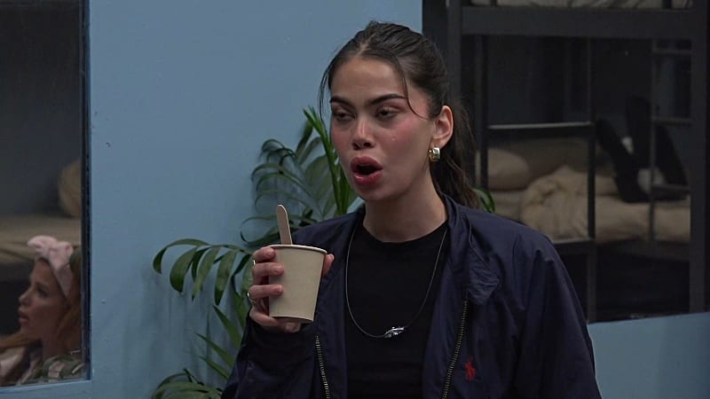 entertainment-the-big-brother-season-08-timeline-part-2604261134