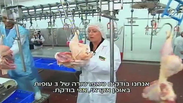 משרד הבריאות מציג: הפעולות החדשות למניעת סלמונלה