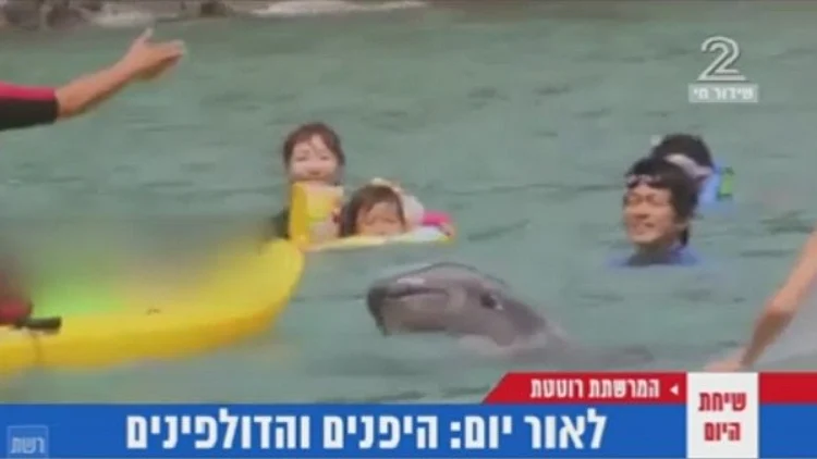 ניוזפיד – מזעזע: ילדים ביפן שוחים עם הדולפינים, רגע לפני שיאכלו אותם | חדשות 13