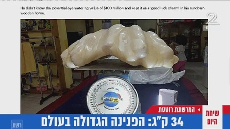 ניוזפיד – לא ידע שיש לו 100 מיליון דולר בבית: נמצאה הפנינה הגדולה בעולם | חדשות 13