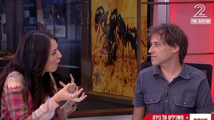 משכילים על בירה