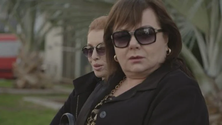 פרק 5: הווינברגים