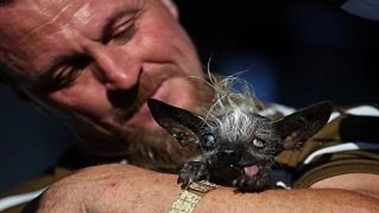 רץ ברשת – העיקר היופי הפנימי – תחרות הכלב המכוער בעולם | חדשות 13