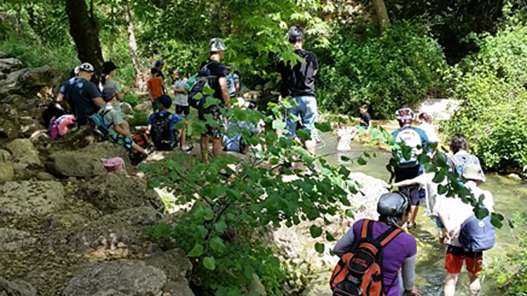 שבת של טיולים: רבבות פוקדים את שמורות הטבע | חדשות 13
