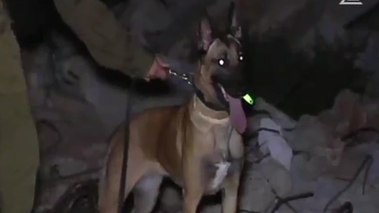 "לכל לוחמת יש את הכלב שלה" | חדשות 13