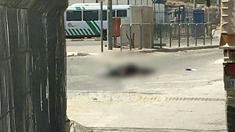 הירי באחים בקלנדיה: התיק נסגר | חדשות 13