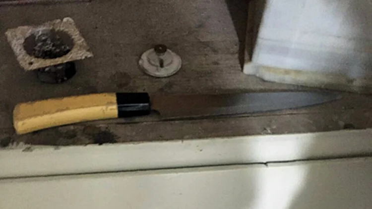 הסכין שנמצאה בידו של בן ה-4 (חדשות 2)