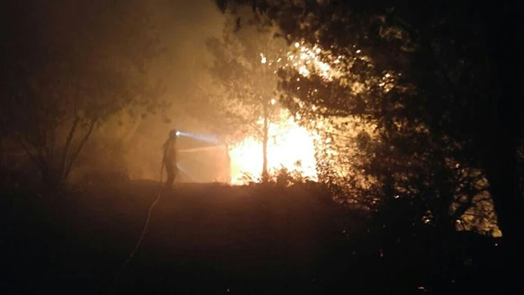 צילום ארכיון (משטרת ישראל)