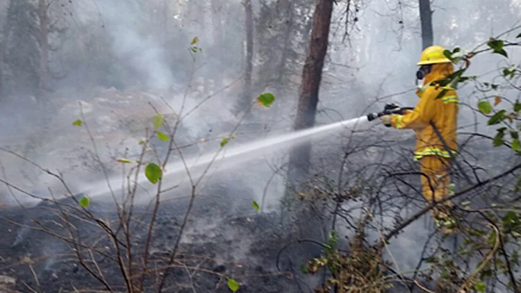 שריפת ענק: תושבי נווה שלום פונו | חדשות 13