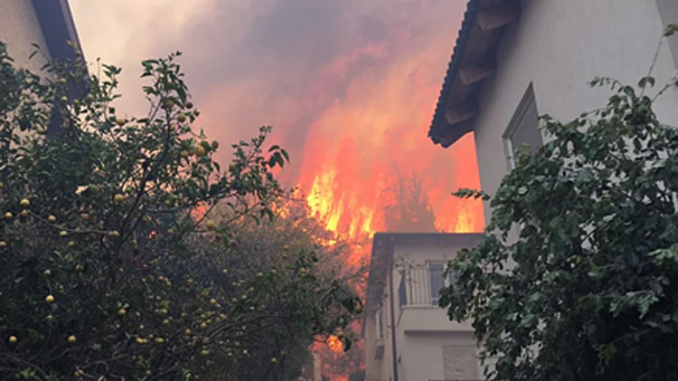 8 נפגעו משאיפת עשן, בתים בוערים