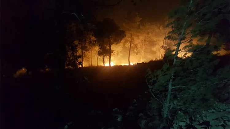 דולב: 3 מבנים התלקחו, מיכלי גז התפוצצו | חדשות 13