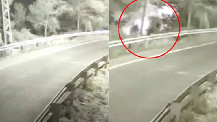 מגץ ללהבה: כך פרצה השריפה בדולב | חדשות 13