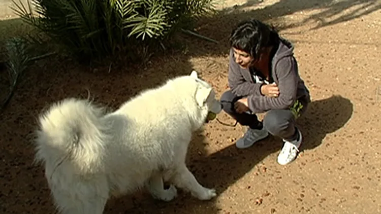 ביתה נשרף: "רק רציתי לחלץ את הכלב" | חדשות 13