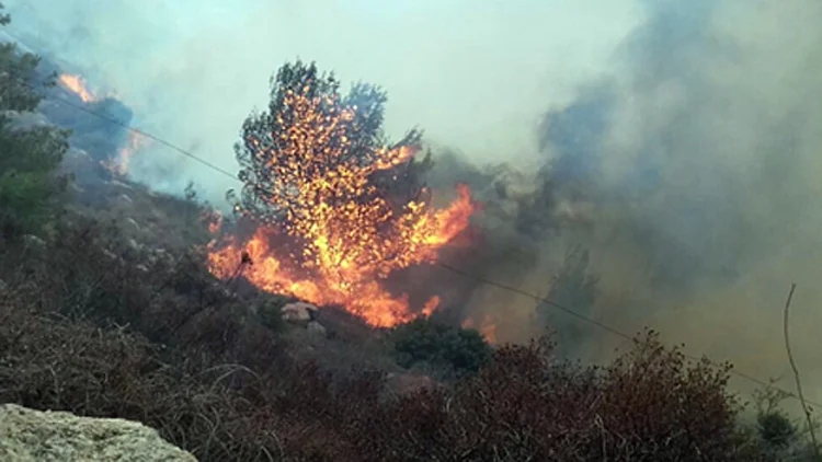 אש בהרי ירושלים, הלהבות מתקדמות מערבה | חדשות 13