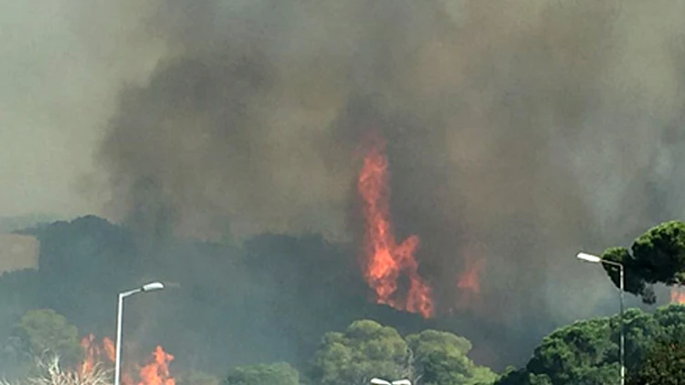 שריפות בחיפה: תושבים מפונים | חדשות 13