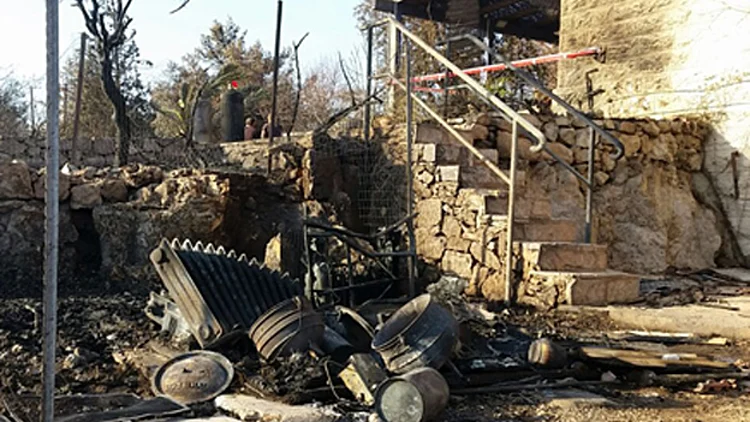 נזקי השריפה בנטף