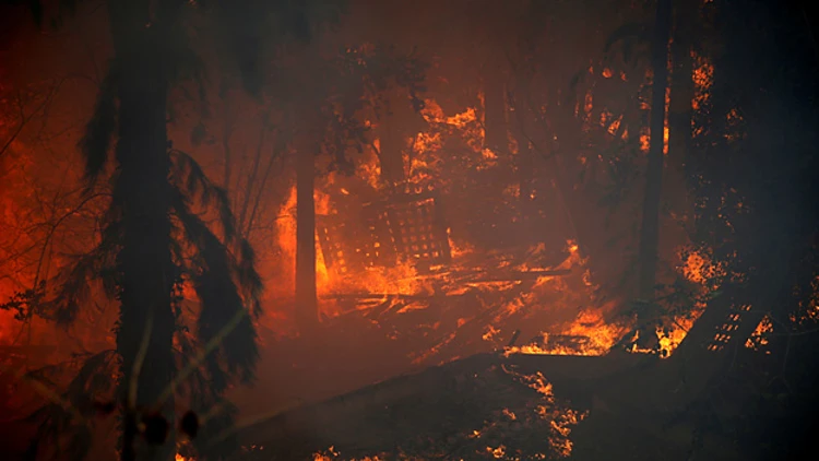 חיפה, הערב (רויטרס)