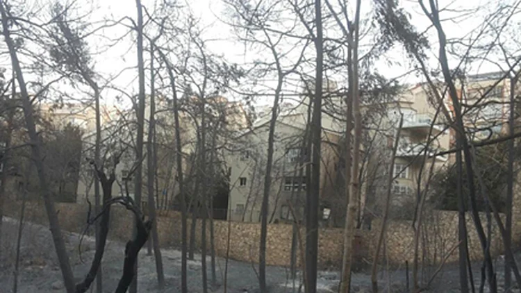 הרוחות המזרחיות החזקות והיובש – גם בימים הקרובים | חדשות 13