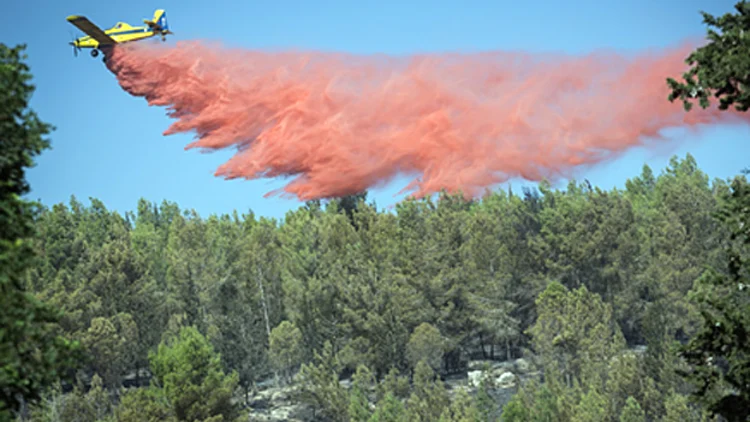 40 אלף דונם נשרפו, 1,800 דירות נשרפו ו-2,000 כבאים פעלו | חדשות 13