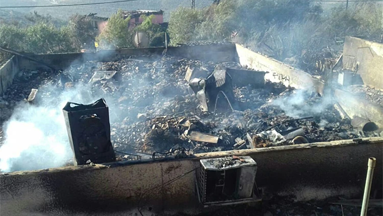 "אין יד מכוונת, ההצתות – חיקוי" | חדשות 13