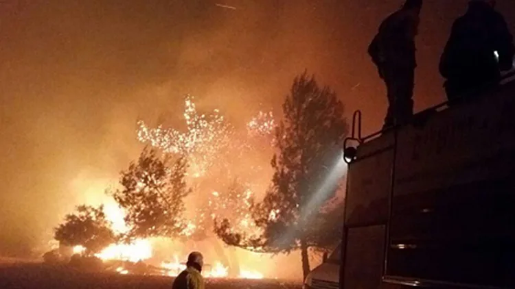16 חשודים בהצתות שוחררו | חדשות 13