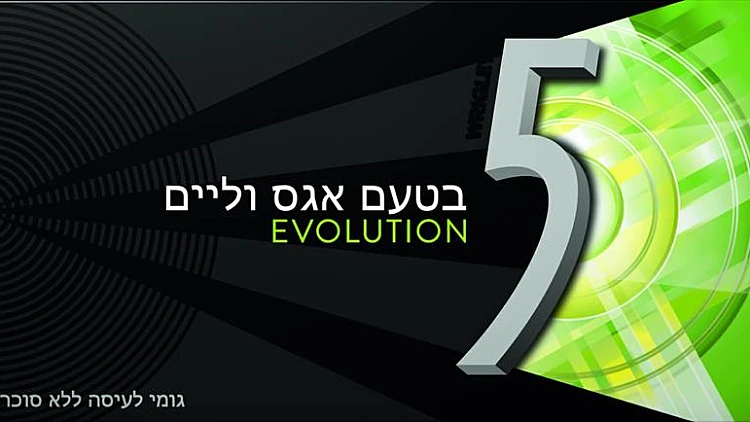 תקנון פעילות פייב – החיים ב-5 | רשת 13