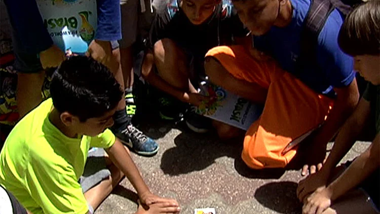 טירוף המדבקות שמשגע את הילדים