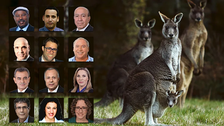 "אולי הגיע הזמן להגביל נסיעות ח"כים לחו"ל?" | חדשות 13