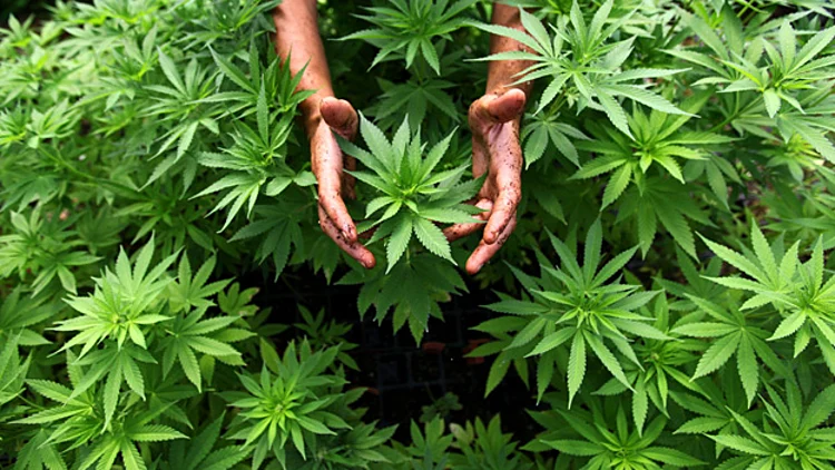 אילוסטרציה (אביר סולטן / פלאש 90)