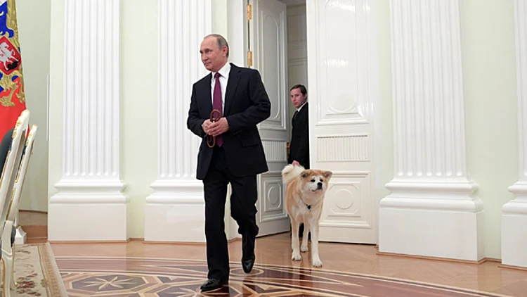 צפו: הצמודה של פוטין | חדשות 13